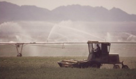 Town of Parker Arizona Farming
